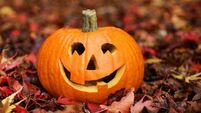 Kildare has a spooktacular line-up of events this Halloween Kildare has a spooktacular line-up of events this Halloween