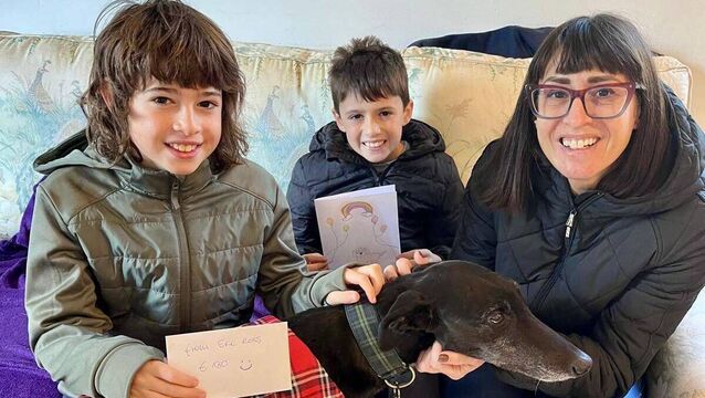 Kildare Rescue Tails: Eric donates birthday money to charity Kildare Rescue Tails: Eric donates birthday money to charity