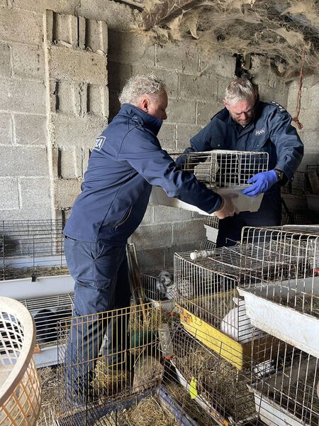 The ISPCA's rescue operation The ISPCA's rescue operation