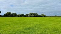 Over 60 acres of Kildare land to be auctioned in September Over 60 acres of Kildare land to be auctioned in September
