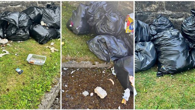 Vigilance catches illegal dumper Vigilance catches illegal dumper