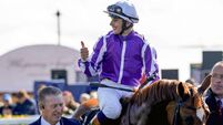 Free Whelan Ballydoyle land another Group 1 with Precise strike Free Whelan Ballydoyle land another Group 1 with Precise strike