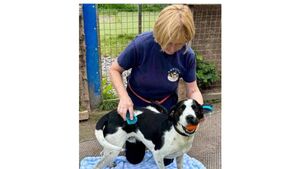 Kildare Rescue Tails: Charity couldn’t survive without our volunteers Kildare Rescue Tails: Charity couldn’t survive without our volunteers