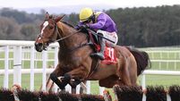 18 hopefuls for the Guinness Kerry National at Listowel on Wednesday 18 hopefuls for the Guinness Kerry National at Listowel on Wednesday