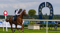 Naas Racecourse: Preview and Tips for Saturday’s Seven-Race Card Naas Racecourse: Preview and Tips for Saturday’s Seven-Race Card