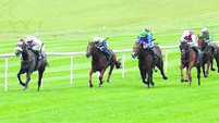 Powell powers home in Thurles Powell powers home in Thurles