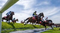 Punchestown Racecourse: Preview and Tips for Wednesday’s Seven-Race Card Punchestown Racecourse: Preview and Tips for Wednesday’s Seven-Race Card