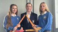 Kildare students qualify for calf rearing finals Kildare students qualify for calf rearing finals