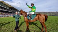 Cheltenham: Walsh wins as Dinoblue becomes first dual winner of the Grade Two Mares’ Chase Cheltenham: Walsh wins as Dinoblue becomes first dual winner of the Grade Two Mares’ Chase