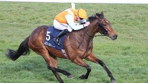 <p>The Joseph O'Brien trained Beset, ridden by Declan McDonogh, on the way to winning The Irish Stallion Farms EBF Devoy Stakes at Naas Racecourse on Sunday Photo: carolinenorris.ie </p> <p>The Joseph O'Brien trained Beset, ridden by Declan McDonogh, on the way to winning The Irish Stallion Farms EBF Devoy Stakes at Naas Racecourse on Sunday Photo: carolinenorris.ie </p>