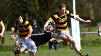 Newbridge edged out of thrilling Towns Cup tie Newbridge edged out of thrilling Towns Cup tie