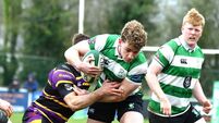 Naas save the best for last to remain in AIL Division 1B for another year Naas save the best for last to remain in AIL Division 1B for another year