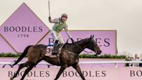 Equine superstars set to clash at Punchestown Festival Equine superstars set to clash at Punchestown Festival