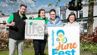 Crochet Olympics comes to popular Kildare festival Crochet Olympics comes to popular Kildare festival