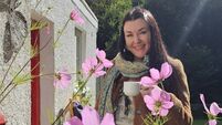 Kildare woman driving sustainability network Kildare woman driving sustainability network