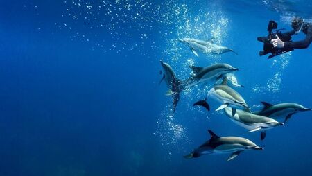 Renowned nature filmmaker comes to Kildare for show Renowned nature filmmaker comes to Kildare for show