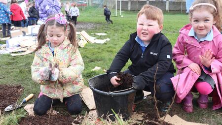 Kildare schools compete 'Project Hedgehog' Kildare schools compete 'Project Hedgehog'