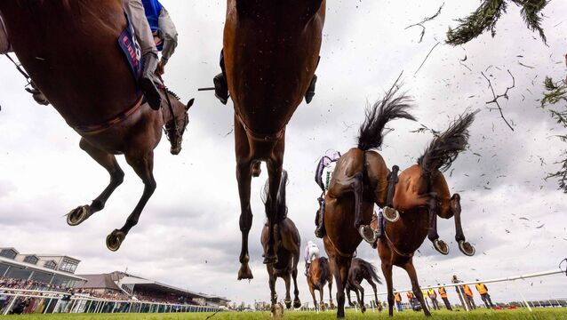 Punchestown Racecourse: Preview and tips for Tuesday’s eight-race meeting Punchestown Racecourse: Preview and tips for Tuesday’s eight-race meeting